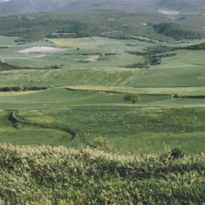 Μάχη Των Κυνός Κεφαλών: Η Κρίσιμη Σύγκρουση Μεταξύ Μακεδονίας Και Ρώμης