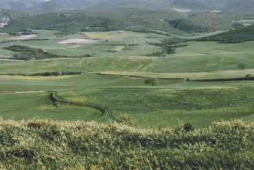 Μάχη Των Κυνός Κεφαλών: Η Κρίσιμη Σύγκρουση Μεταξύ Μακεδονίας Και Ρώμης