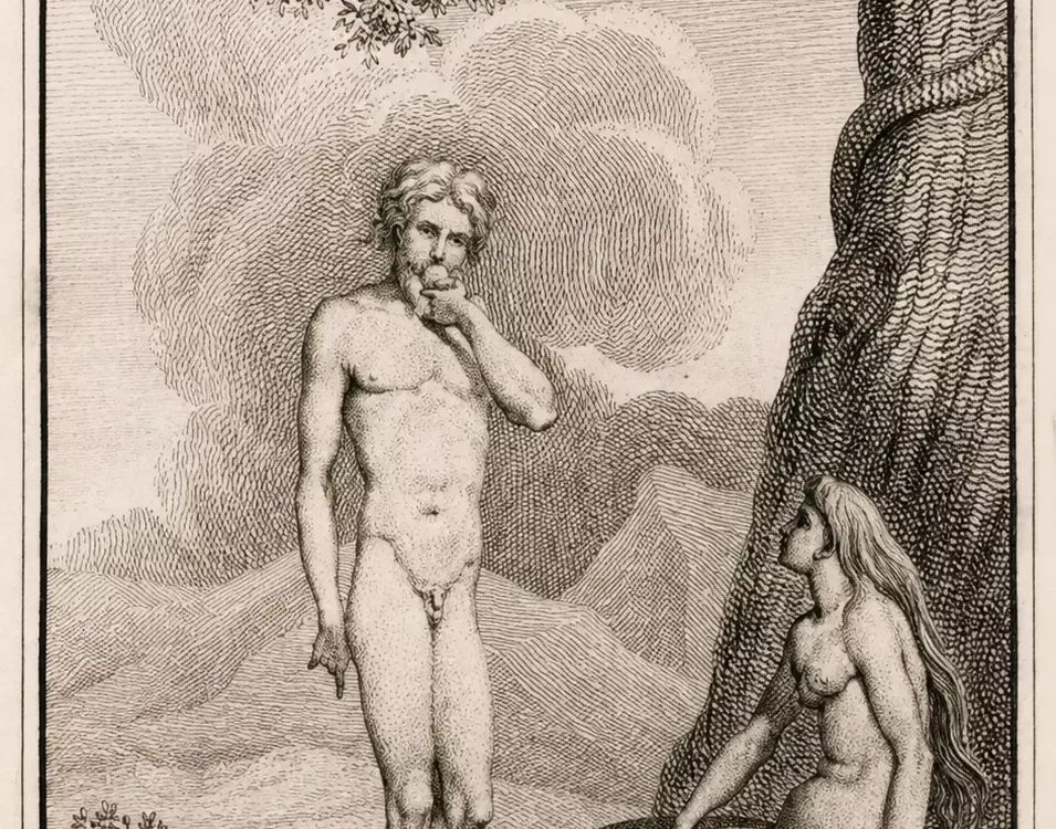 Nicolai Abildgaard Adam And Eve Engraving, Eve Seated Beneath The Serpent-Coiled Tree