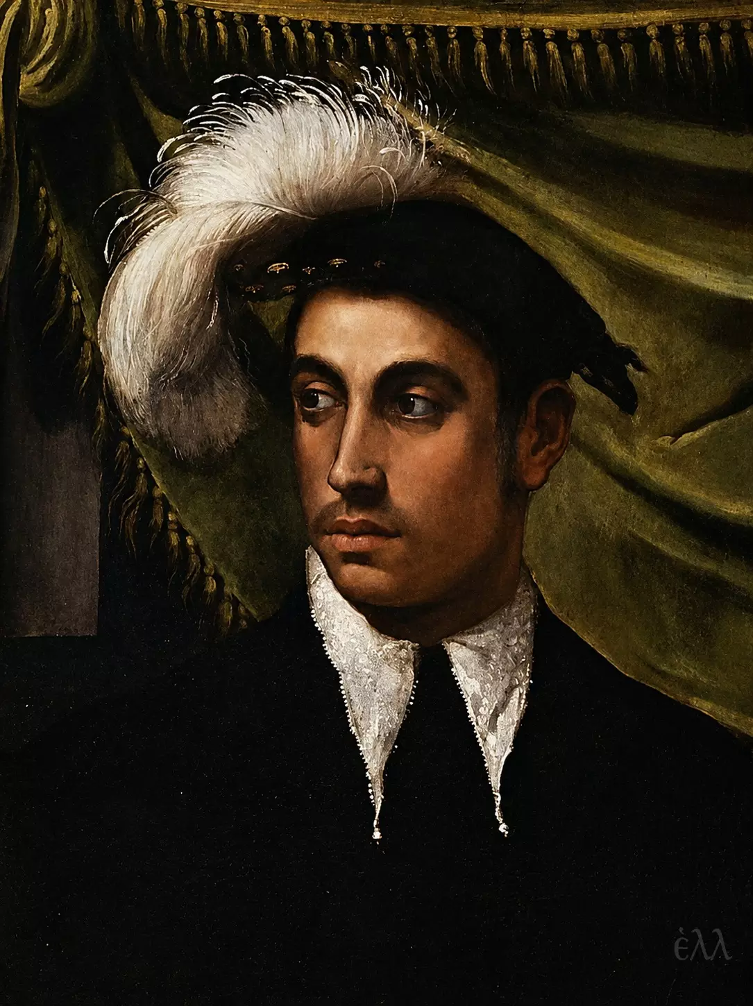 Détail Du Portrait Avec Un Perroquet, Visage D'Homme Avec Chapeau À Plumes, Art De La Renaissance