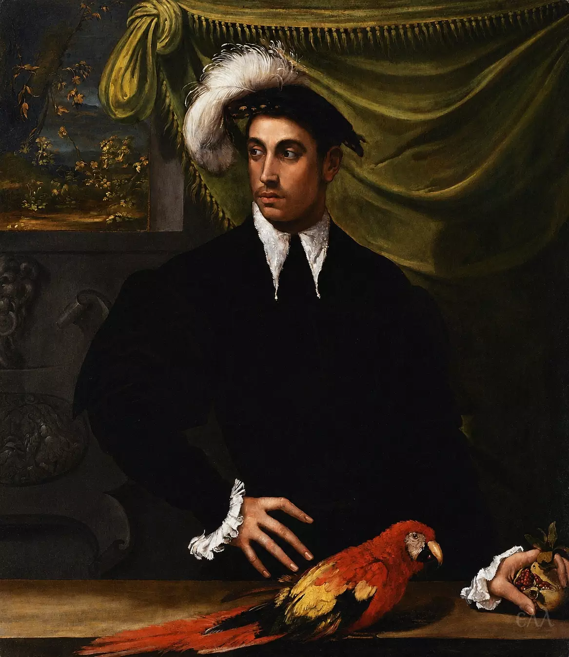 Portrait D'Homme Avec Un Perroquet Et Une Grenade, Œuvre D'Art De Niccolò Dell'Abate, Vers 1540