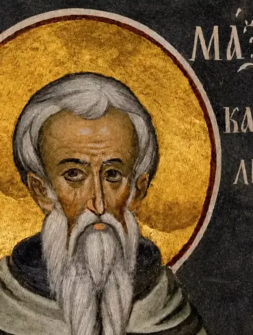 Λεπτομέρεια από την τοιχογραφία, το πρόσωπο και το χρυσό φωτοστέφανο του Αγίου Μαξίμου του Καυσοκαλυβίτη, Καρυές