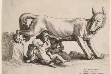 Rómulo y Remo maman bajo una loba erguida que apoya una pata trasera en una roca, en un aguafuerte de Hollar.