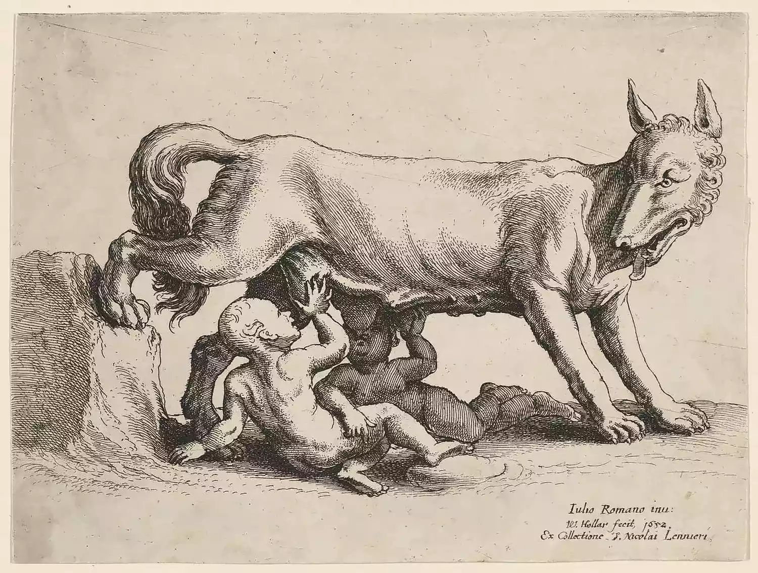 Romulus et Rémus tètent sous une louve debout, une patte arrière posée sur un rocher, dans une eau-forte de Hollar.